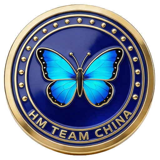 HM_TEAM_CHINA荣誉勋章